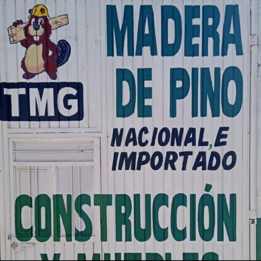 madereria tmg en aguascalientes