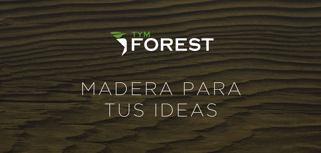 madereria tym forest en monterrey