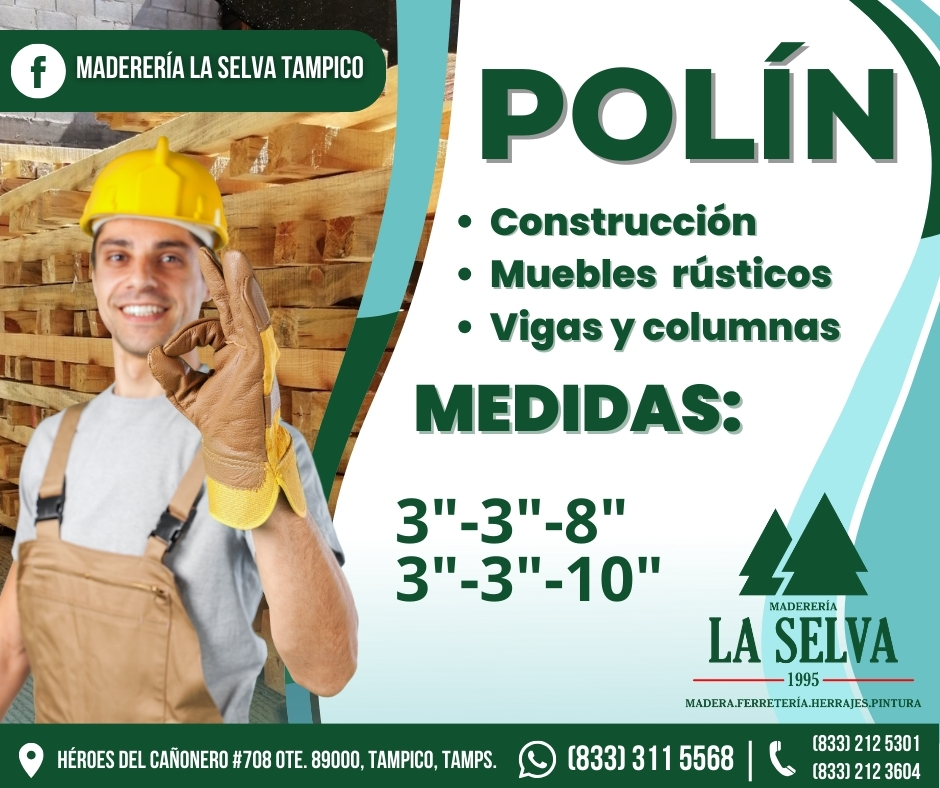 polin en tampico