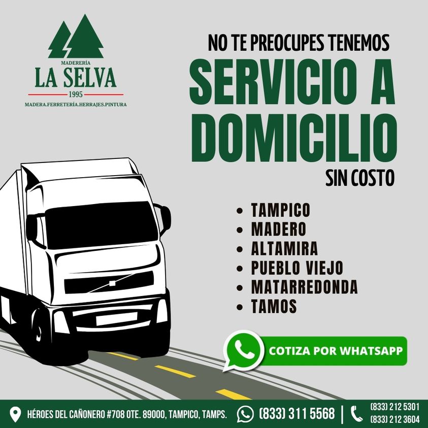 servicio a domicilio en tampico